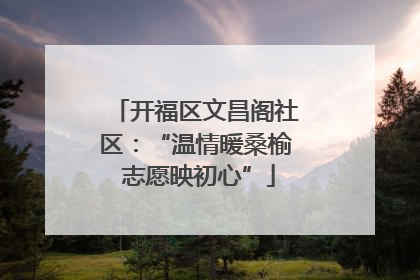 开福区文昌阁社区：“温情暖桑榆 志愿映初心”