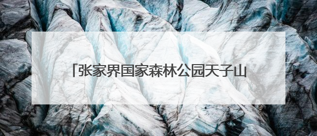 张家界国家森林公园天子山门票站开展“粽情端午·乐游张家界”主题宠客活动