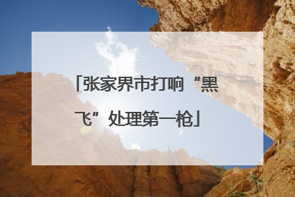 张家界市打响“黑飞”处理第一枪