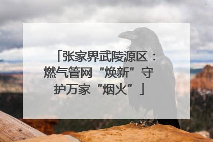 张家界武陵源区：燃气管网“焕新”守护万家“烟火”