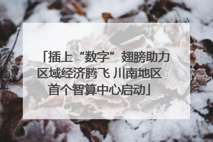 插上“数字”翅膀助力区域经济腾飞 川南地区首个智算中心启动
