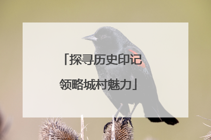 探寻历史印记 领略城村魅力