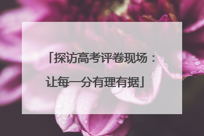 探访高考评卷现场：让每一分有理有据