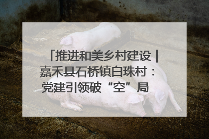 推进和美乡村建设｜嘉禾县石桥镇白珠村：党建引领破“空”局 乡贤聚力绘就新图景