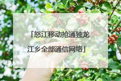 怒江移动抢通独龙江乡全部通信网络