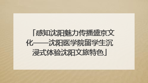感知沈阳魅力传播盛京文化——沈阳医学院留学生沉浸式体验沈阳文旅特色