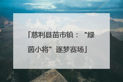 慈利县苗市镇：“绿茵小将”逐梦赛场