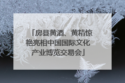 房县黄酒、黄精惊艳亮相中国国际文化产业博览交易会
