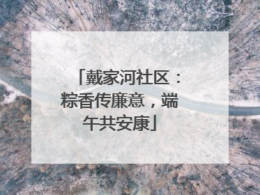 戴家河社区：粽香传廉意，端午共安康