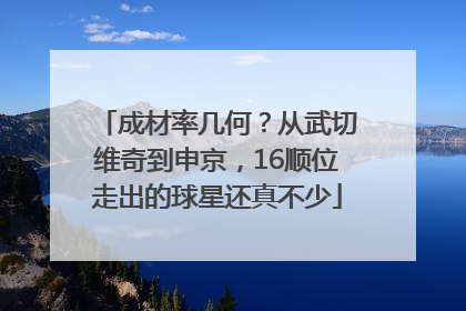 成材率几何？从武切维奇到申京，16顺位走出的球星还真不少