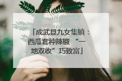 成武县九女集镇：西瓜套种辣椒 “一地双收”巧致富