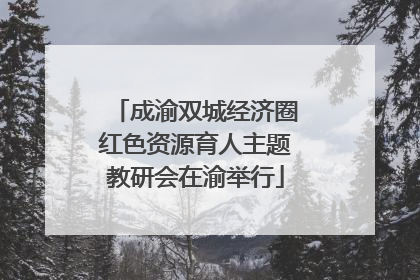 成渝双城经济圈红色资源育人主题教研会在渝举行