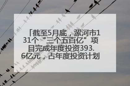 截至5月底，漯河市131个“三个五百亿”项目完成年度投资393.6亿元，占年度投资计划的50.41%——“三个五百亿”项目带动产业提质升级