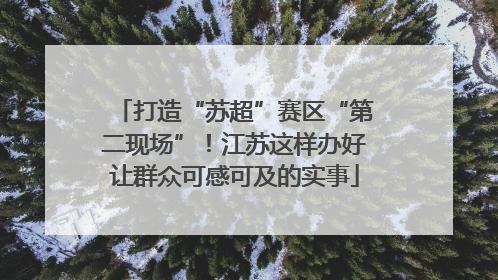 打造“苏超”赛区“第二现场”！江苏这样办好让群众可感可及的实事