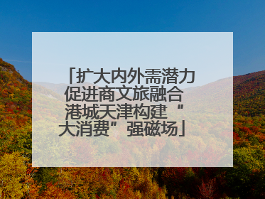 扩大内外需潜力 促进商文旅融合 港城天津构建“大消费”强磁场
