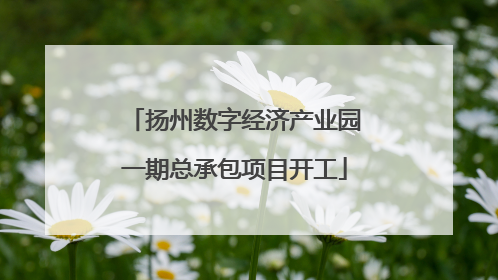 扬州数字经济产业园一期总承包项目开工