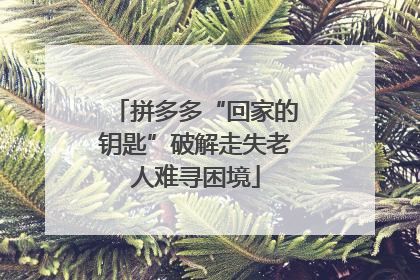拼多多“回家的钥匙”破解走失老人难寻困境