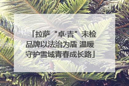 拉萨“卓·吉”未检品牌以法治为盾 温暖守护雪域青春成长路