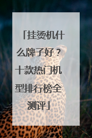 挂烫机什么牌子好？十款热门机型排行榜全测评