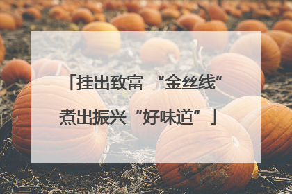 挂出致富 “金丝线” 煮出振兴“好味道”