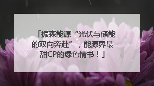 振森能源“光伏与储能的双向奔赴”，能源界最甜CP的绿色情书！