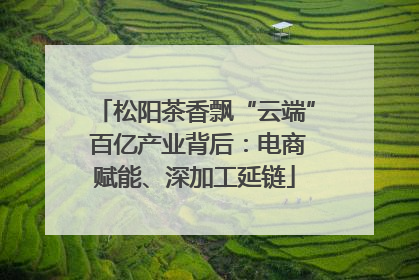 松阳茶香飘“云端” 百亿产业背后：电商赋能、深加工延链