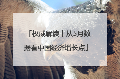 权威解读丨从5月数据看中国经济增长点