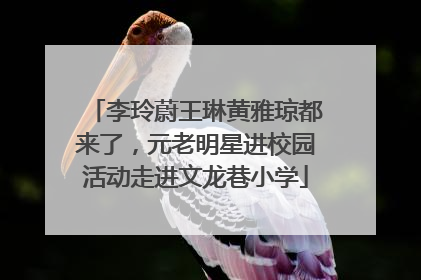 李玲蔚王琳黄雅琼都来了，元老明星进校园活动走进文龙巷小学