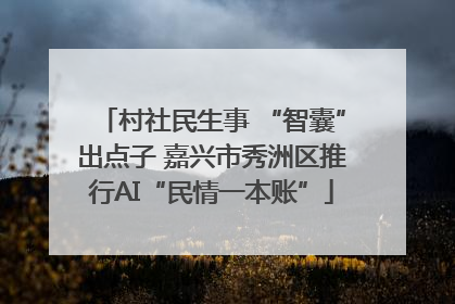 村社民生事 “智囊”出点子 嘉兴市秀洲区推行AI“民情一本账”