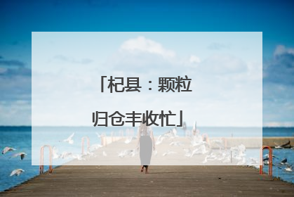 杞县：颗粒归仓丰收忙