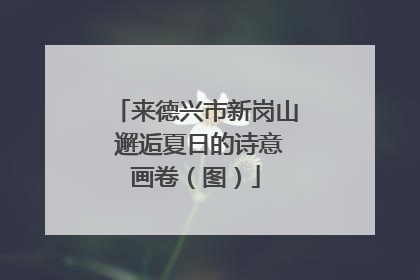来德兴市新岗山 邂逅夏日的诗意画卷（图）