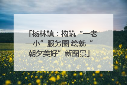杨林镇：构筑“一老一小”服务圈 绘就“朝夕美好”新图景