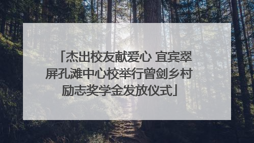 杰出校友献爱心 宜宾翠屏孔滩中心校举行曾剑乡村励志奖学金发放仪式