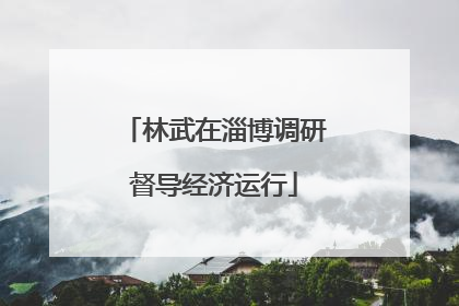 林武在淄博调研督导经济运行