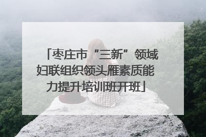 枣庄市“三新”领域妇联组织领头雁素质能力提升培训班开班