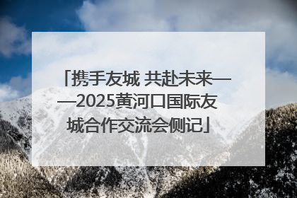 携手友城 共赴未来——2025黄河口国际友城合作交流会侧记