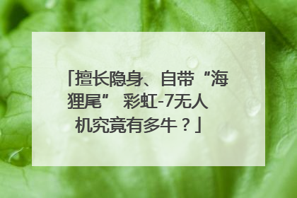 擅长隐身、自带“海狸尾” 彩虹-7无人机究竟有多牛？