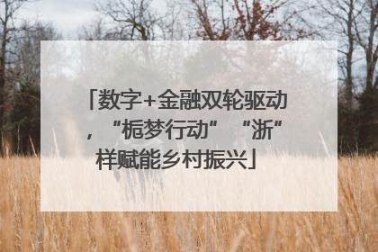 数字+金融双轮驱动，“栀梦行动”“浙”样赋能乡村振兴