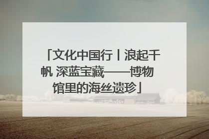 文化中国行丨浪起千帆 深蓝宝藏——博物馆里的海丝遗珍