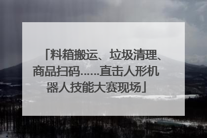 料箱搬运、垃圾清理、商品扫码……直击人形机器人技能大赛现场