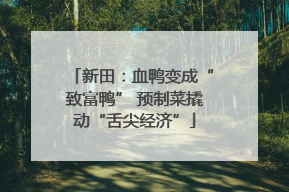 新田：血鸭变成“致富鸭” 预制菜撬动“舌尖经济”