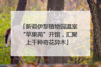 新疆伊犁植物园温室“苹果苑”开馆，汇聚上千种奇花异木