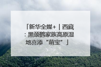 新华全媒+｜西藏：黑颈鹤家族高原湿地喜添“萌宝”