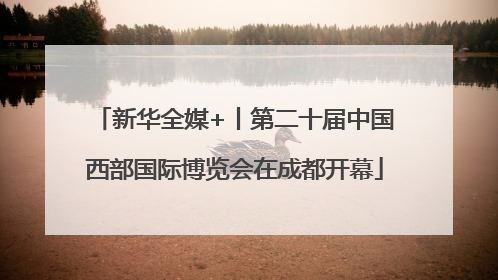 新华全媒+丨第二十届中国西部国际博览会在成都开幕