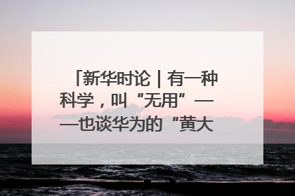 新华时论｜有一种科学，叫“无用”——也谈华为的“黄大年茶思屋”