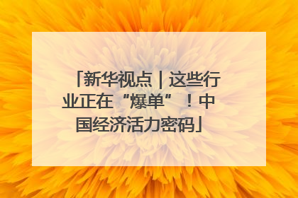 新华视点｜这些行业正在“爆单”！中国经济活力密码