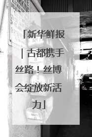 新华鲜报｜古都携手丝路！丝博会绽放新活力