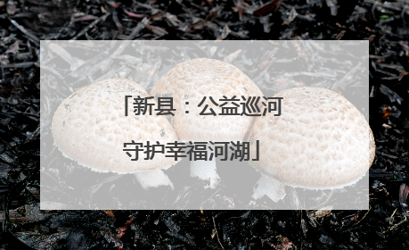 新县：公益巡河守护幸福河湖