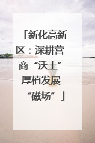 新化高新区：深耕营商“沃土” 厚植发展“磁场”