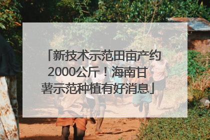 新技术示范田亩产约2000公斤！海南甘薯示范种植有好消息